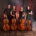 Man sieht ein Foto vom Quartett CelloNation, das aus drei Frauen und einenm Mann mit jeweils einem Cello besteht.